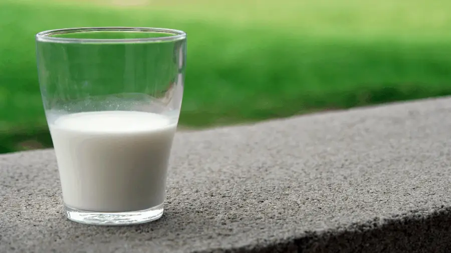 Milk In Glass On Stone Near Green Grass