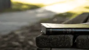 Bible On Bench Near Sidewalk