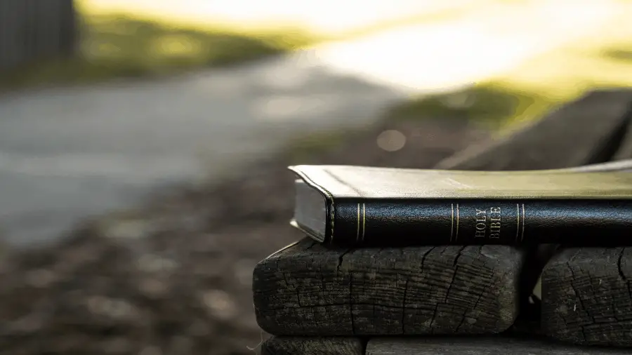 Bible On Bench Near Sidewalk