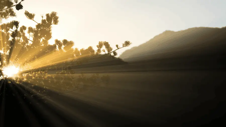 Light Shining Through Tree Branch With Mountain 900x506