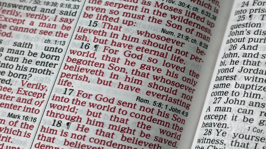 Bible John 3:16 Verse 900x506