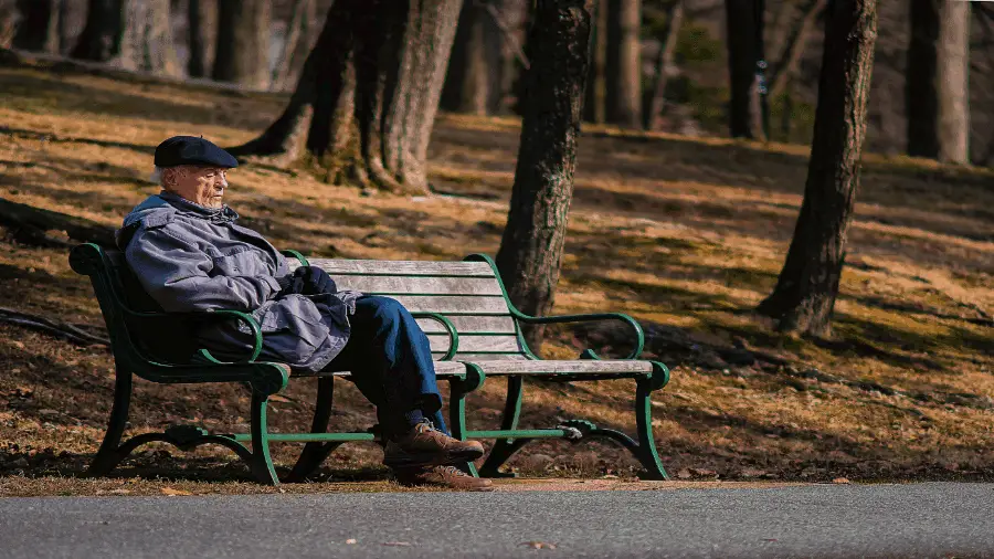 Man Resting On Park Bench 900x506