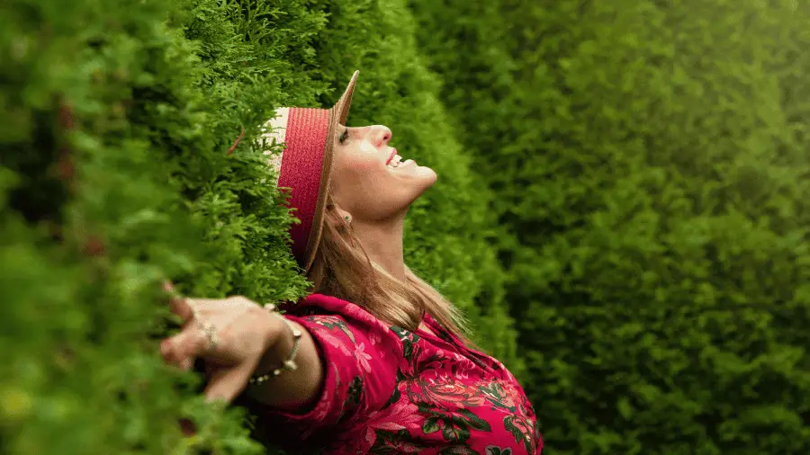 Woman Resting In Green Hedge 900x506