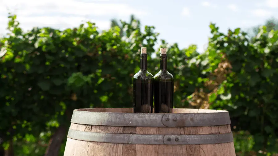 Two Wine Bottles On Barrel Winery 900x506