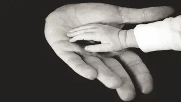 Baby Hand In Adult Hand 356x200