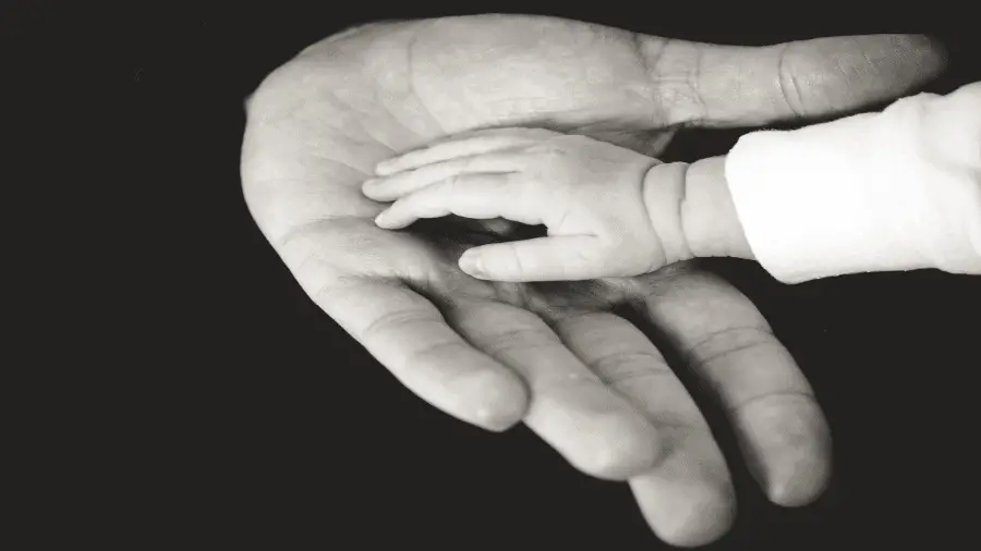 Baby Hand In Adult Hand 900x506