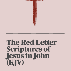 eBook Cover - The Red Letter Scriptures of Jesus in John (KJV)