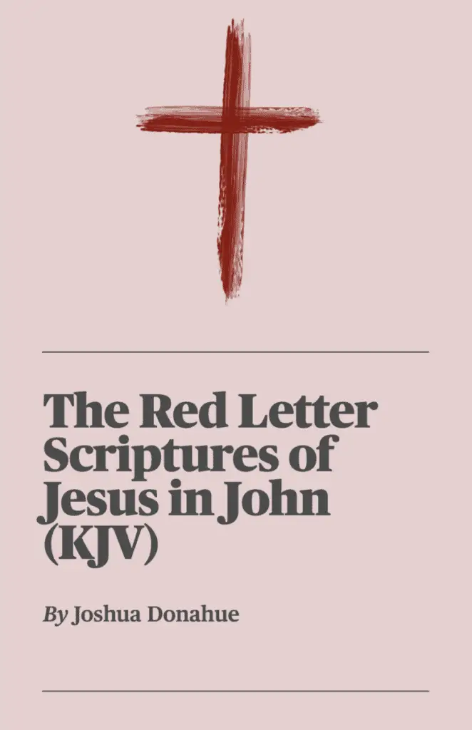 eBook Cover - The Red Letter Scriptures of Jesus in John (KJV)