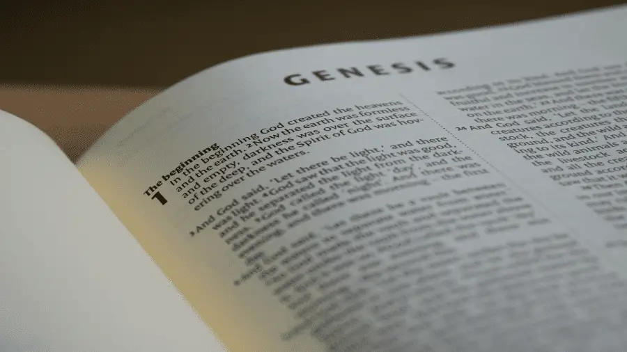 Genesis Chapter In The Bible 900x506