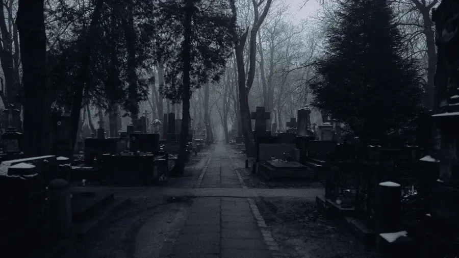 Gloomy Tombstones & Graves With Trees With Fog 900x506