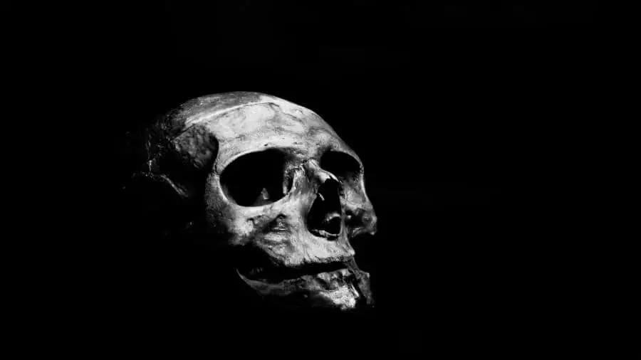 Human Skull Black Background 900x506