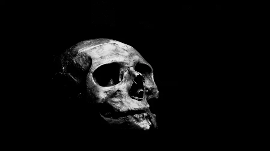Human Skull Black Background 900x506