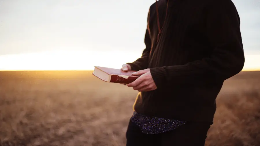 Person Holding Bible In Field 900x506
