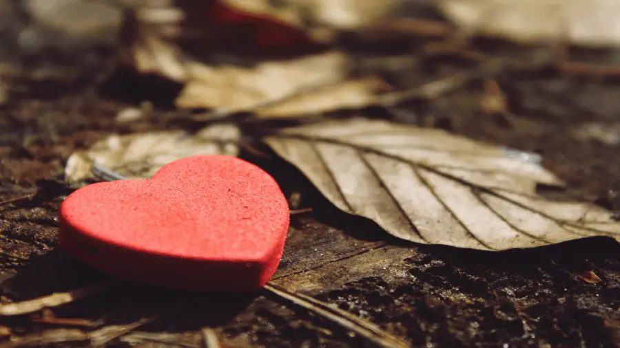 Red Heart On Wood And Table 900×506 Red Heart On Wood And Table 900x506