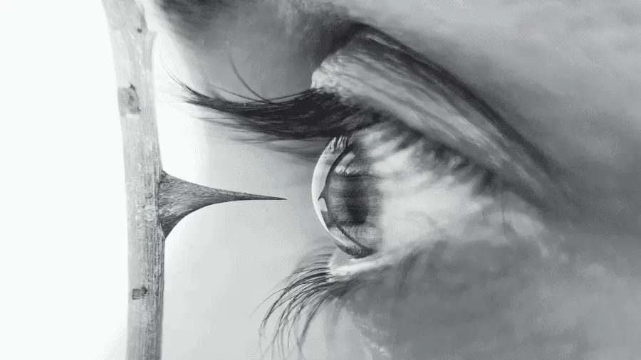 Thorn Near Eye 900×506 Thorn Near Eye 900x506